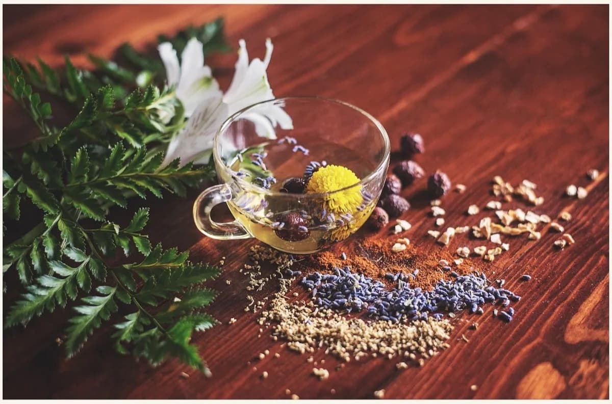 Plantes médicinales et micronutrition pour le soutien du TDAH